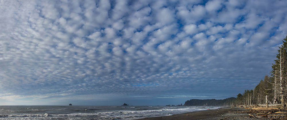Rialto Beach