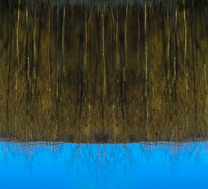 Woods reflected in calm blue water