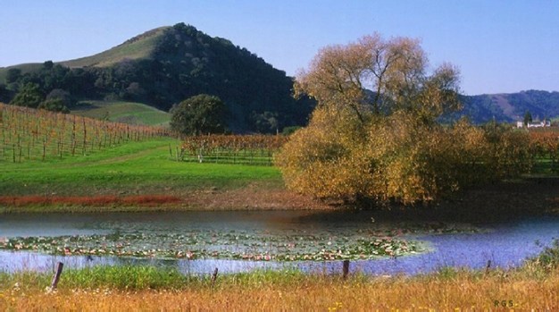 FADE Henrys Lk and lilies FINAL