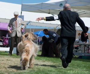 Man takes Afghan Oliver back to judge