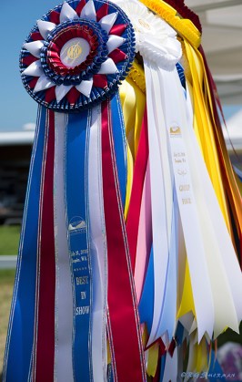Ribbons