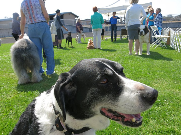 Sam awaits the tests to begin