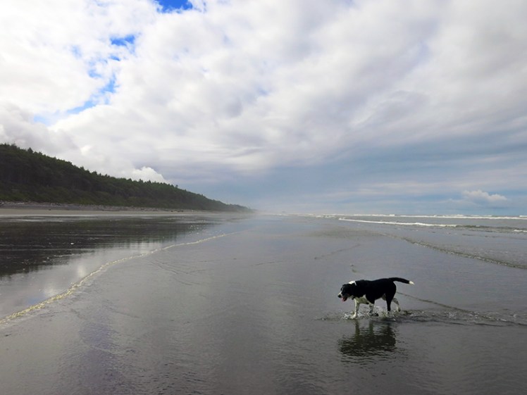 Sam walks along beach