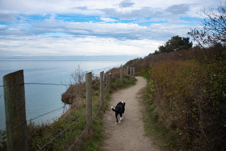 Sam walks a path along a bluff at the ocean